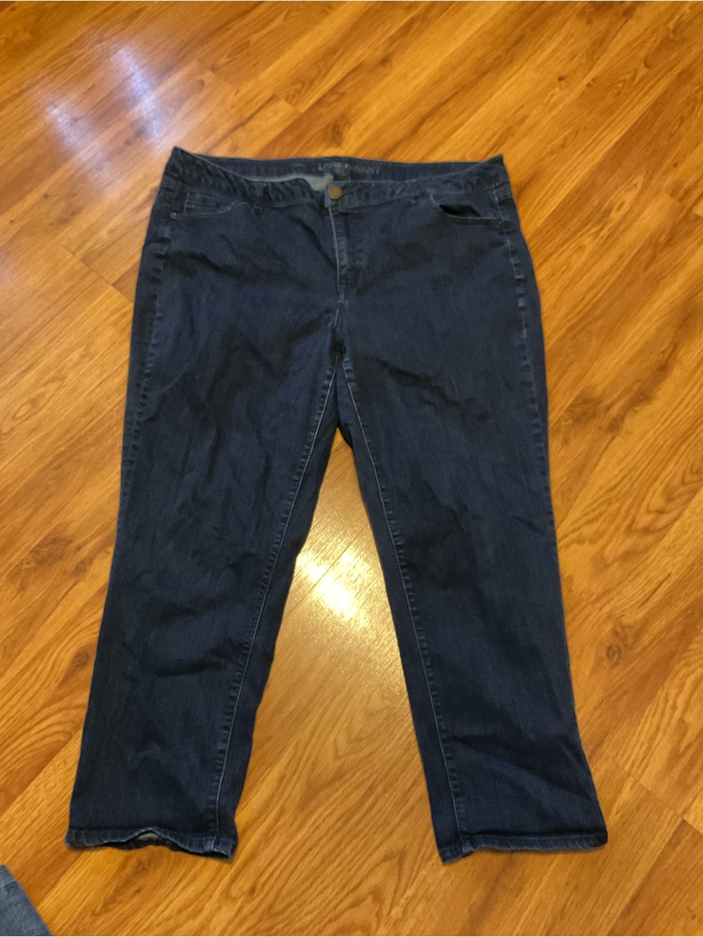 Lane Bryant Dark Wash Women’s Lightweight Jeans Size 20